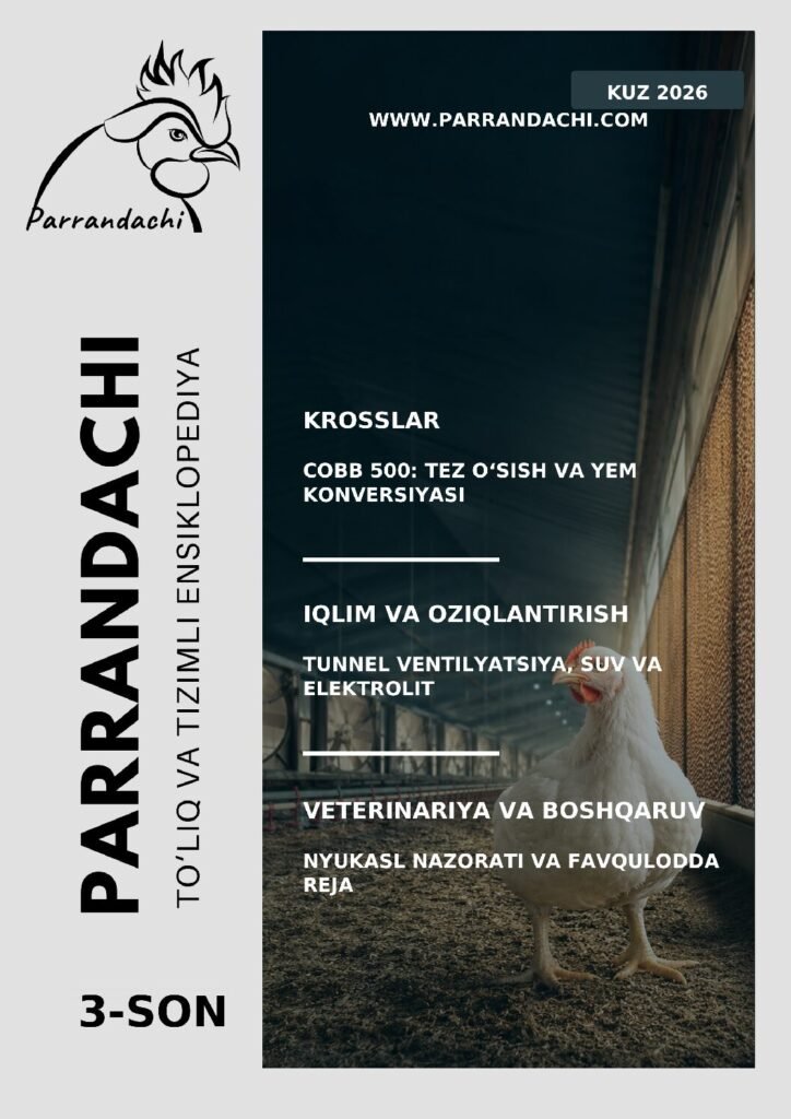 Parrandachi — Kuz 2026 muqovasi