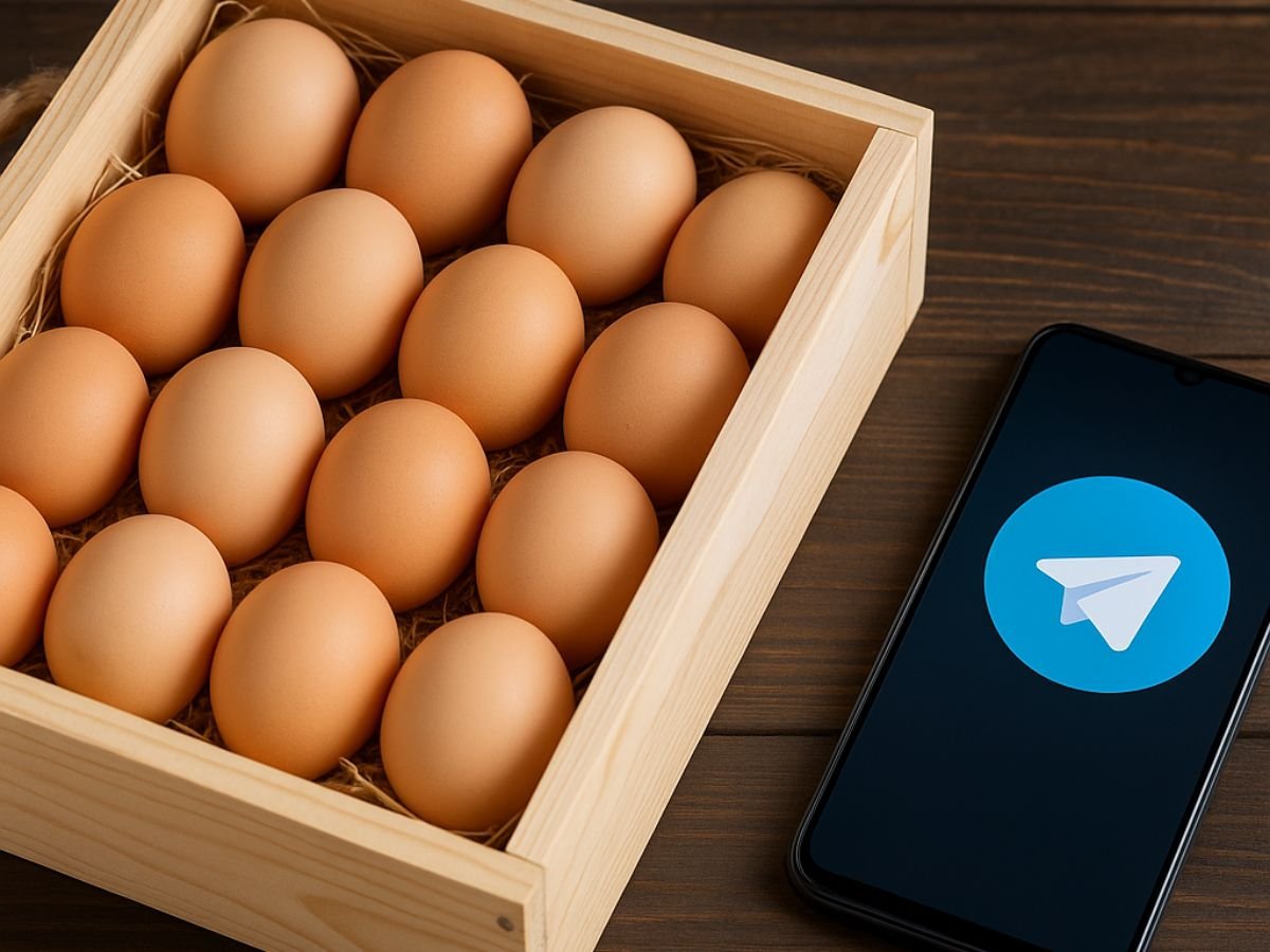 Подробнее о статье Qisqa zanjir sotuv (Short Supply Chain): Telegram bot orqali tuxum obuna modelini sozlash