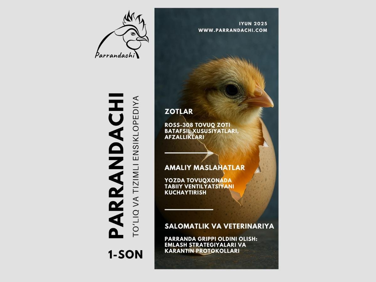 Подробнее о статье Parrandachi jurnali 2025-yil iyun oyi soni barcha maqolalar to’plami